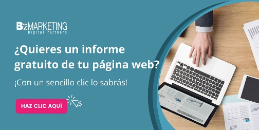 informe pagina web