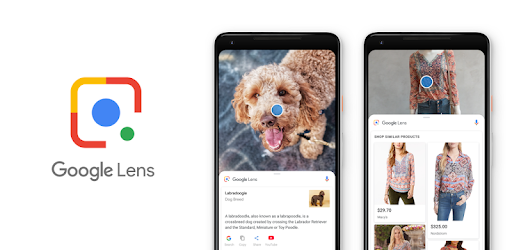 Google Lens BizMarketing